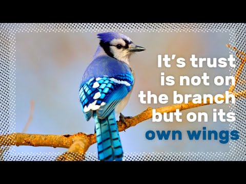 Social Emotional Learning Video Lesson (Week 44) - Standing on your own | Making good choices