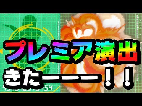 【ドッカンバトル】これもLR確定！？いきなり激熱演出きたこれー！【Dragon Ball Z Dokkan Battle】