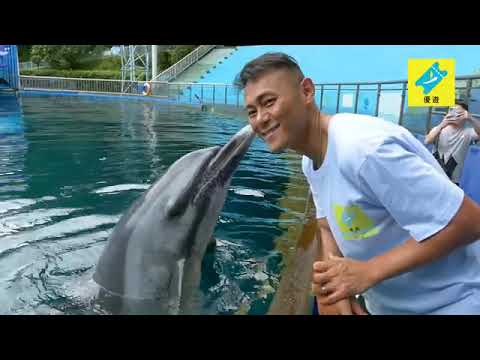 Part 2:  港幣30元! 深圳野生動物園 餵老虎 www.fouryau.com 優遊 親子旅行社