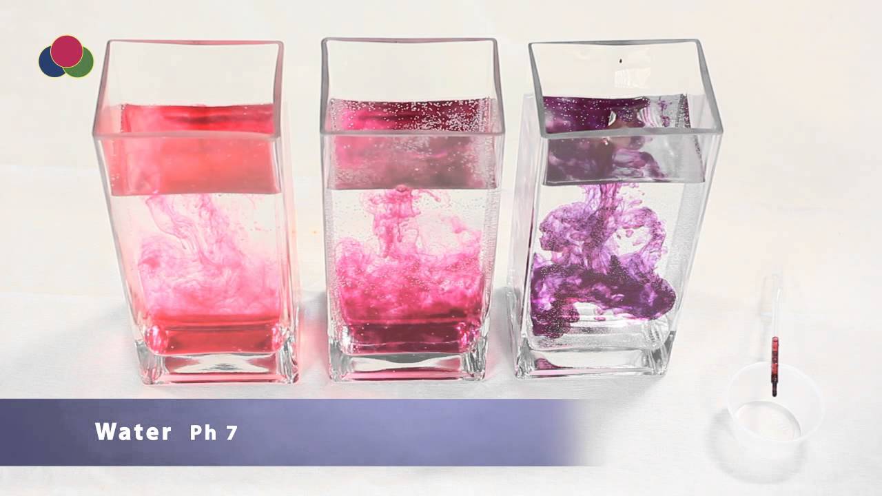 Anthocyanins in Beverages - YouTube