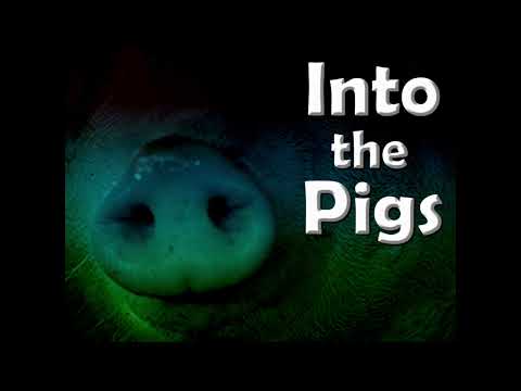 Israel Phillips - Into the Pigs