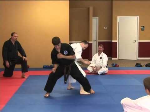 Shuri-Ryu Karate Seminar 2007 Troy J. Price Action Clips