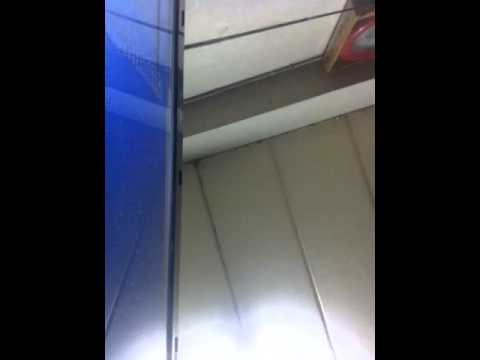 Wa aung ngo mal(cover by Sanjay)