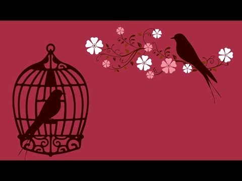 DJ Farad - Laska jak z obrazka