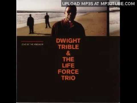 Dwight Trible & The Life Force Trio - Waves Of Infinite Harmony