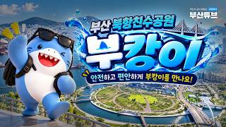 계속 보고 싶은 부캉이 북항에서 길~게 담았습니다