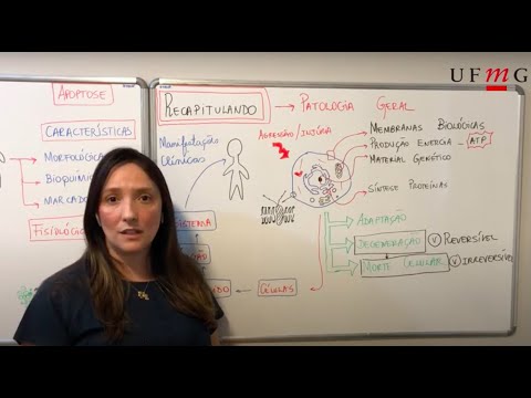 Patologia Geral - Aula Teórica - Introdução ao estudo de Patologia