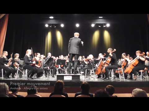 Tchaïkovsky — Symphonie n°5 (extraits)
