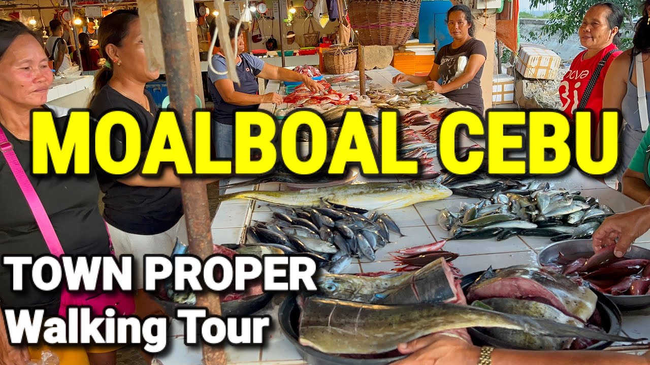 Experience a walking tour around Moalboal Town Plaza.