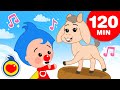 Sal De Ahí Chivita Chivita Y Las Mejores Canciones Infantiles 120 Min Plim Plim