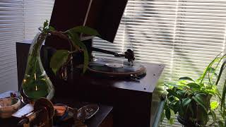 TEDDY WILSON - THEM THERE EYES