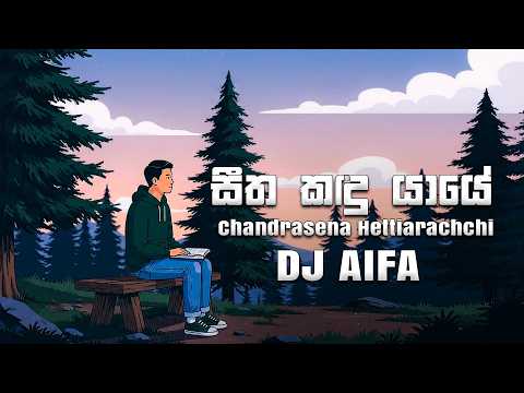 Seetha Kandu Yaye - Remix (DJ AIFA)
