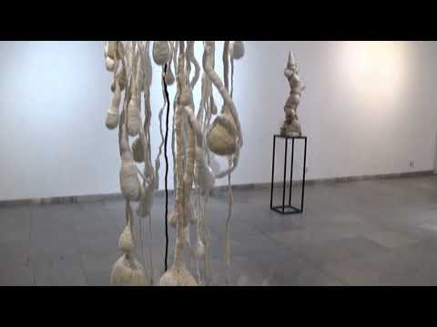 Urszula Święcicka - Principium vitae