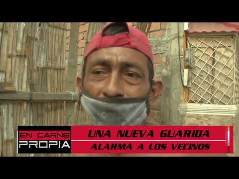 EN CARNE PROPIA 2020 - PROGRAMA OCTUBRE 10 - BLOQUE 6