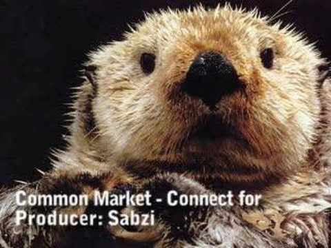 Common Market - Connect for (instrumental) BY SABZI