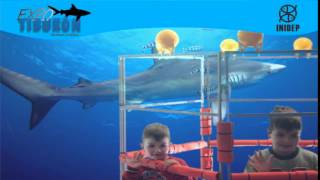 DIA 3 Expo Tiburon197