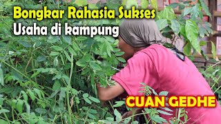 Download lagu CUAN GEDHE..BONGKAR RAHASIA SUKSES USAHA DI KAMPUNG.. mp3 Download lagu CUAN GEDHE..BONGKAR RAHASIA SUKSES USAHA DI KAMPUNG.. mp3