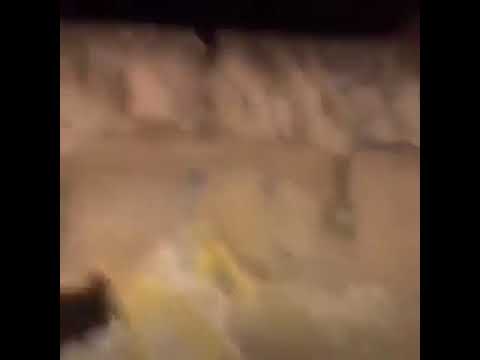 escuchando salsa y echando tiros al aire