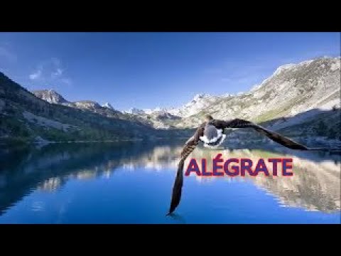 Alegrate - Jose Gomez