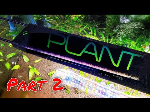 Ultimate Guide to the Fluval Plant 3.0 LED Aquarium Light - Part 2 - Mastering Auto Mode