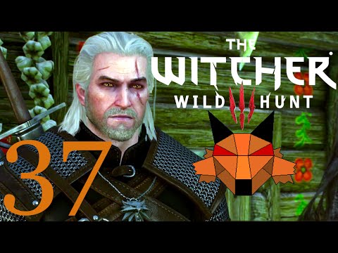 Let's Play Witcher 3: Wild Hunt [Blind, PC, 1080P, 60FPS] Part 37 - Crossroads Bandits