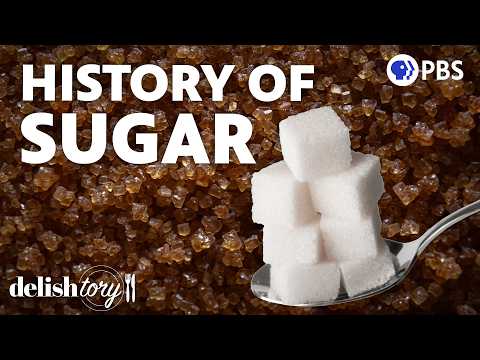 甜蜜的美味陷阱:解析「糖」如何改變人類文明、貿易與世界歷史(How Sugar Conquered The World | Delishtory)