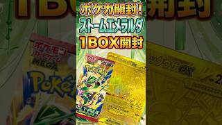 【#ポケカ】ポケカ最新弾『ストームエメラルダ』を開封！1BOX目【#ストームエメラルダ 】
