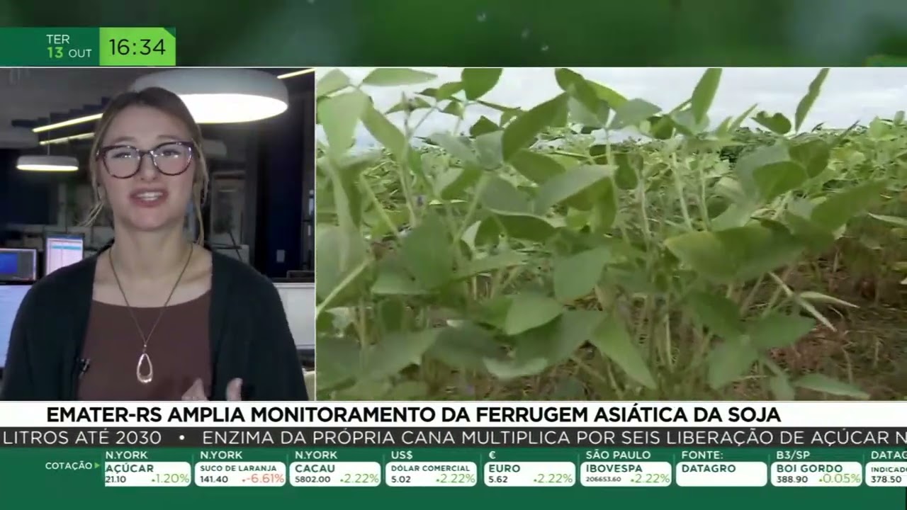 Emater-RS amplia monitoramento da ferrugem asiática da soja