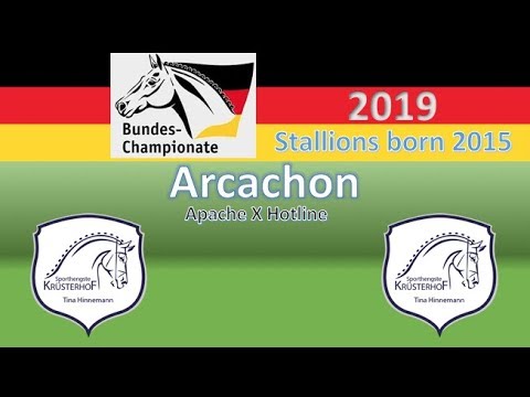 Arcachon @ Bundeschampionate 2019