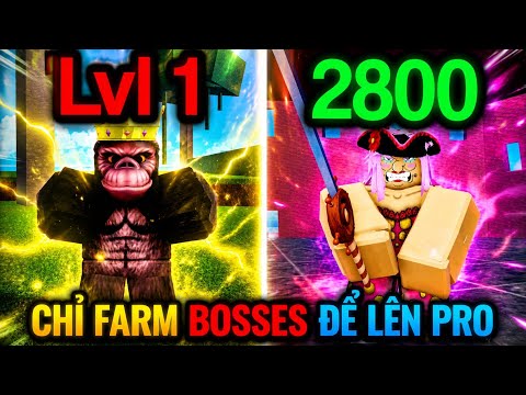 Hành Trình Phá Đảo Blox Fruit Từ Level 1 Đến Level 2800 Chỉ Farm Quái Để Lên Cấp 