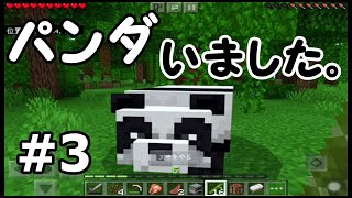 【初心者・マイクラ】＃３ 村探しがこんなに大変だとは…