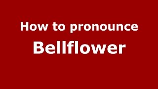 How to pronounce Bellflower