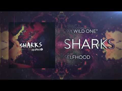 My Wild One - Sharks
