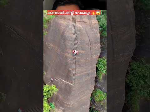 😱🔥അവസാനത്തെ ആ സീൻ അമ്പമ്പോ കിളി പോയി #shorts