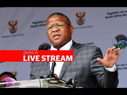 Transport Minister Fikile Mbalula addresses the media