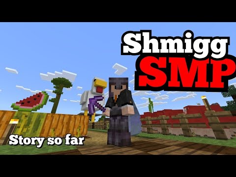 Shocking Shmigg SMP Story Revealed!