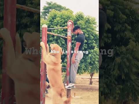 Who is strong #short