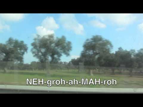 Negroamaro as Spoken by Paolo Cantele