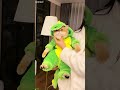 Funny Cats 2025 Fyp Ep 4237