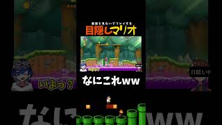 何のためにあるのwwww【目隠しマリオ】