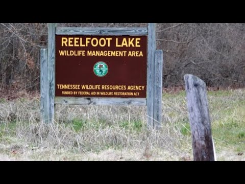 Shocking Crime Story ! The Murders at Reelfoot Lake #truecrime  #hunting