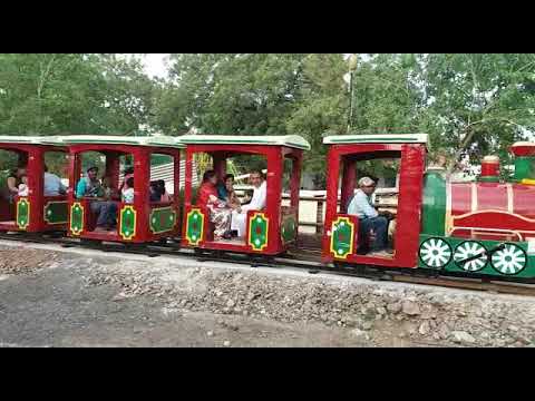 Amusement Rides Family Train with 1 Engine and 5 Bogies