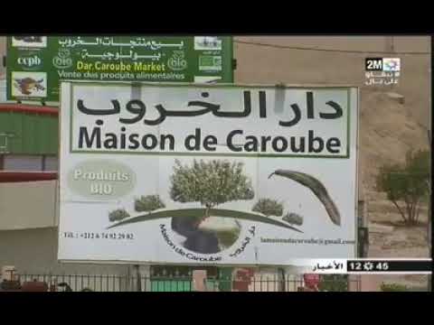 مصنع لإنتاج و تحويل #الخروب في بلاد المغرب #المغرب_الاخضر