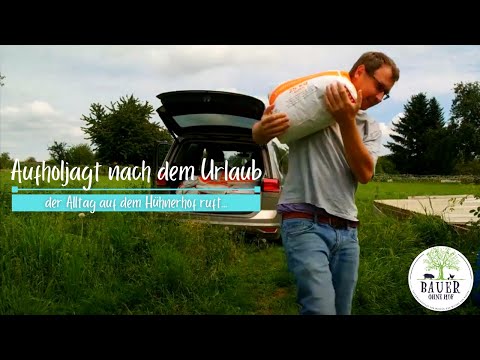 Aufholjagd nach dem Urlaub - Die ZEIT läuft auf dem Hühnerhof...