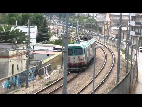 Lis doppia in transito