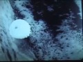 Tycho - Elegy