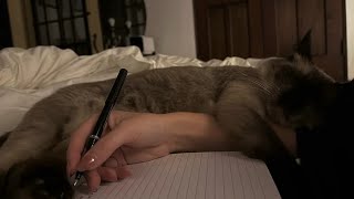 “how do you write SO well ?!” 𝓮xceptional writing skills subliminal ｡⭑