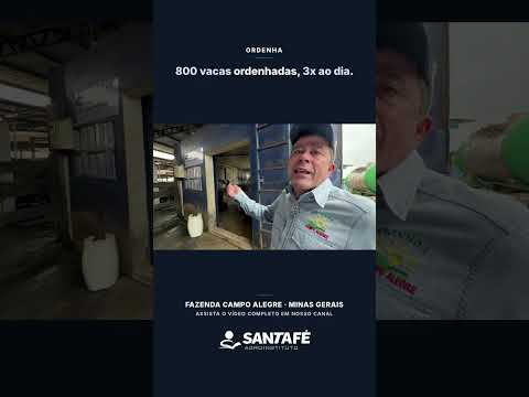 FAZENDA CAMPO ALEGRE: genética, embriões e o segredo dos 50 mil litros/dia