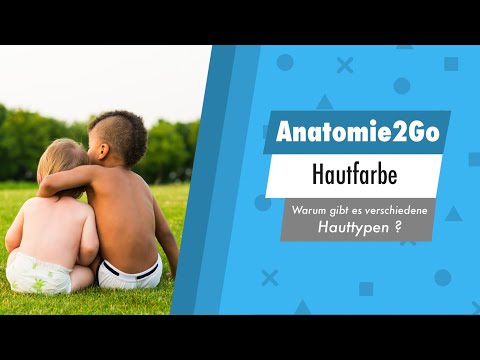 Warum haben Menschen verschiedene HAUTFARBEN? | Anatomie2Go