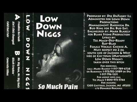 Low Down Niggs - Freakin Da Funk